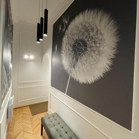Flower Apartment بودابست المظهر الخارجي الصورة
