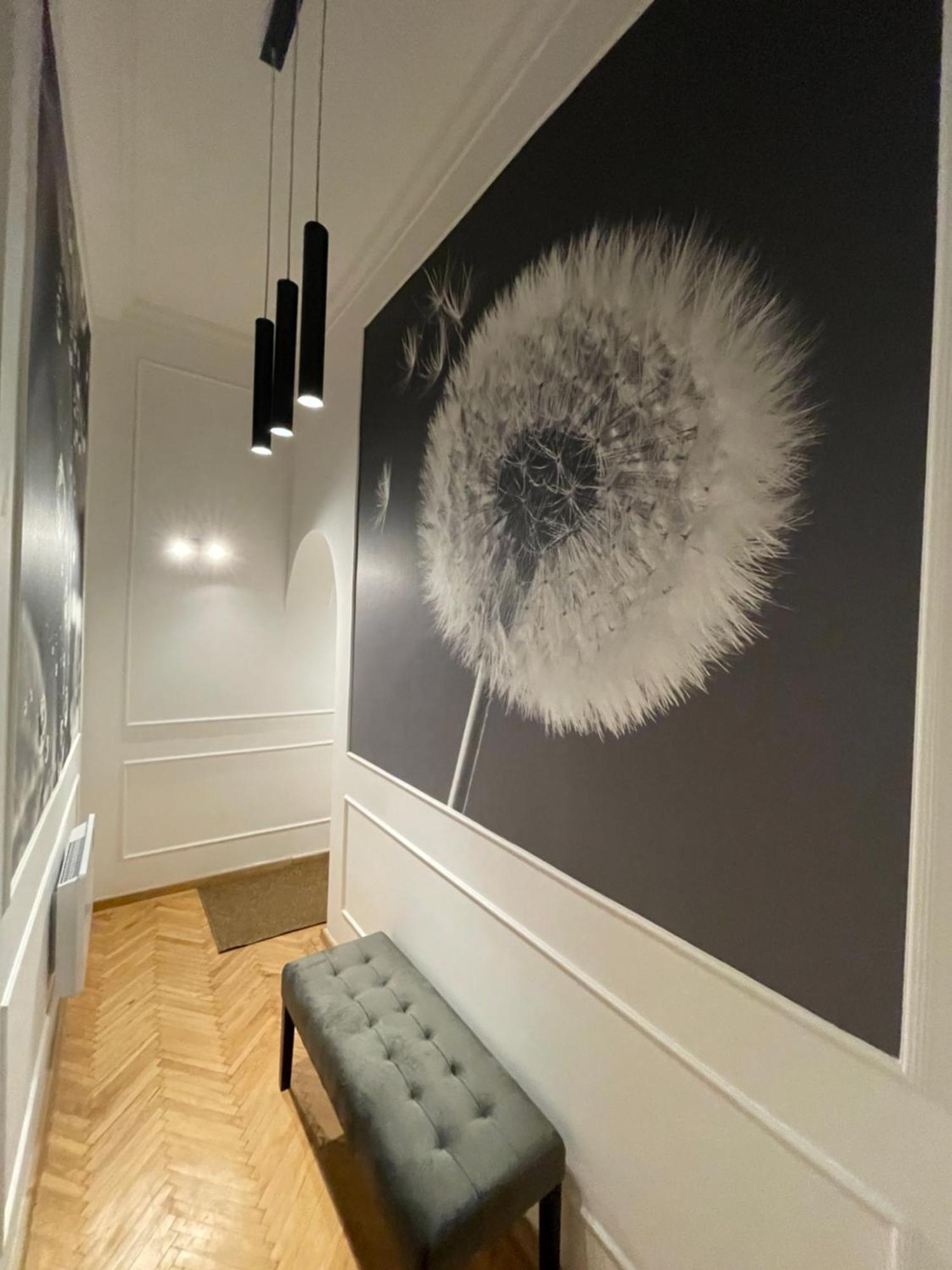 Flower Apartment بودابست المظهر الخارجي الصورة