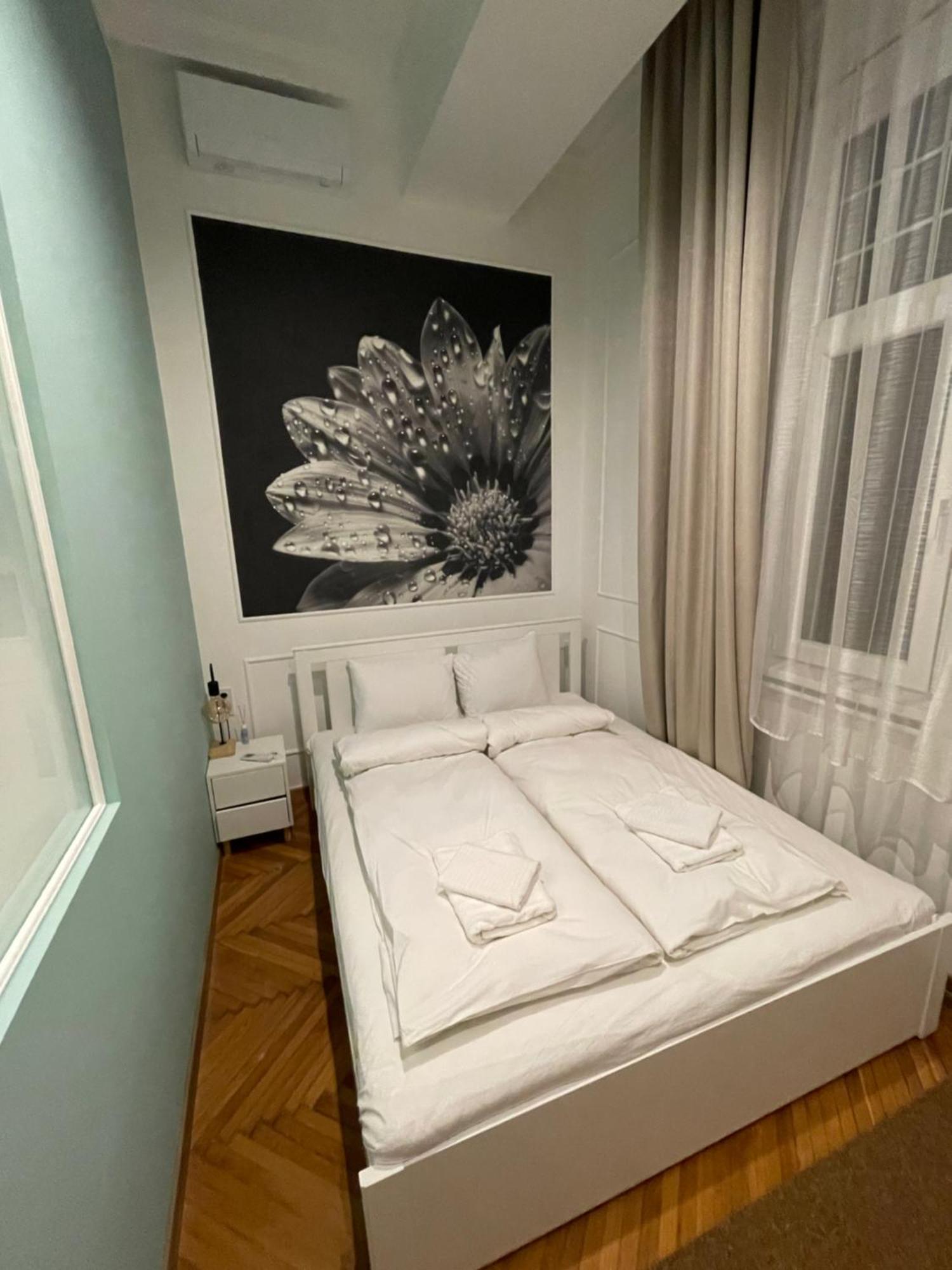 Flower Apartment بودابست المظهر الخارجي الصورة